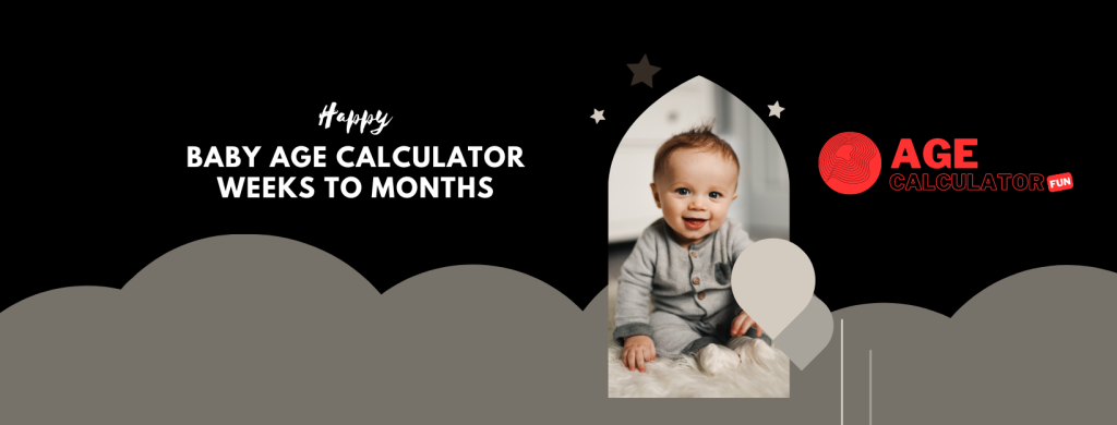 Baby Age Calculator Weeks to Months